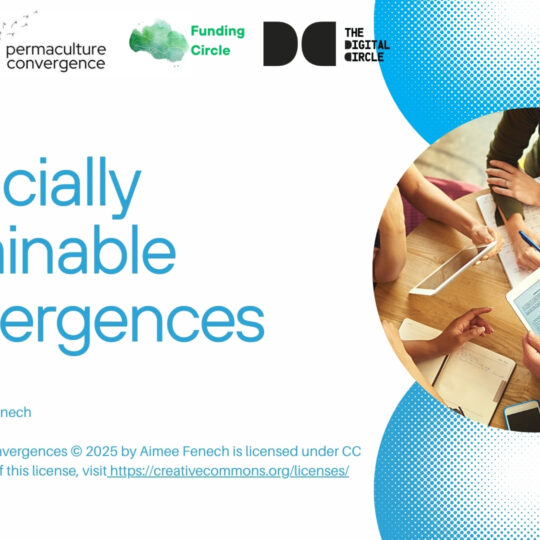 Financially Sustainable Convergences