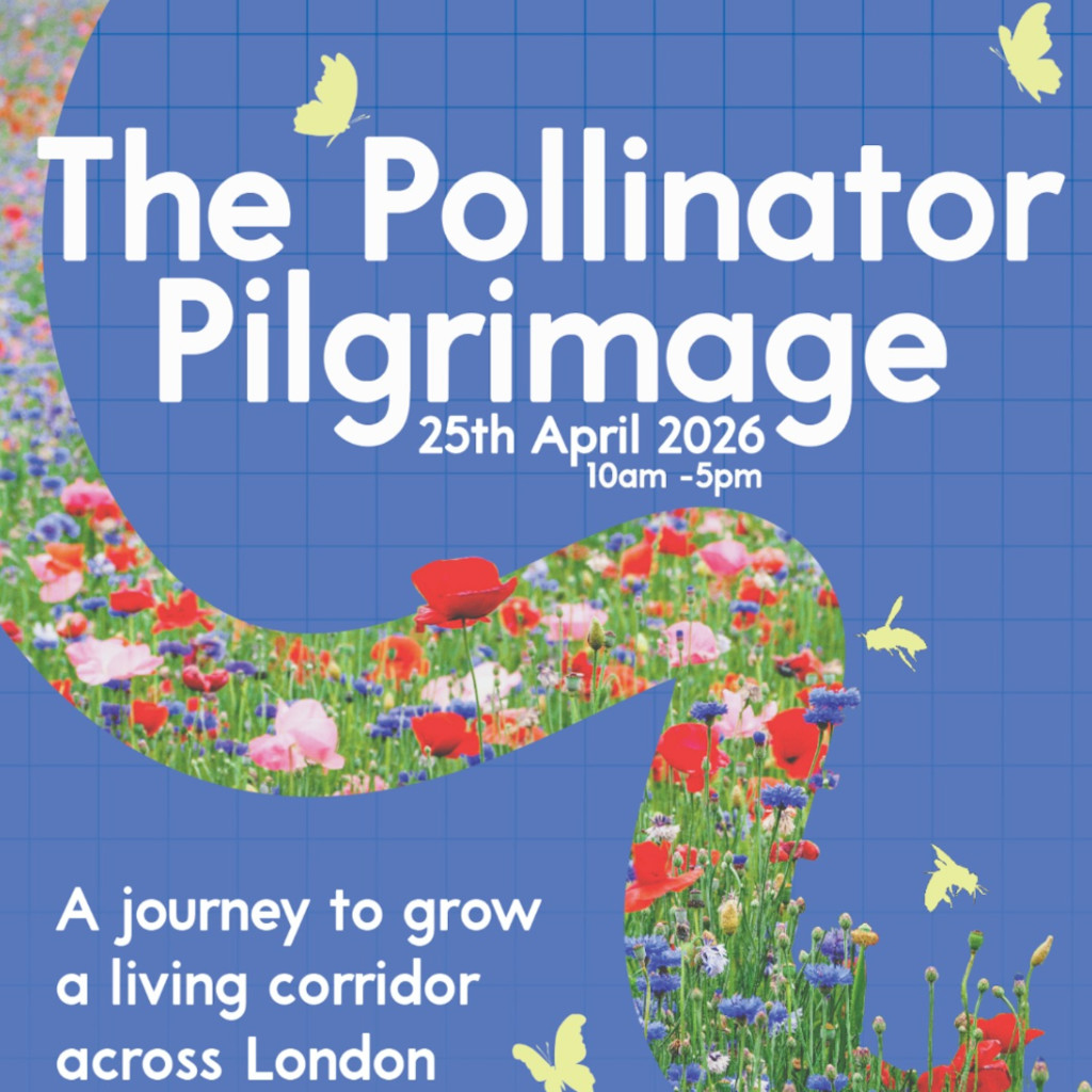 The Pollinator Pilgrimage