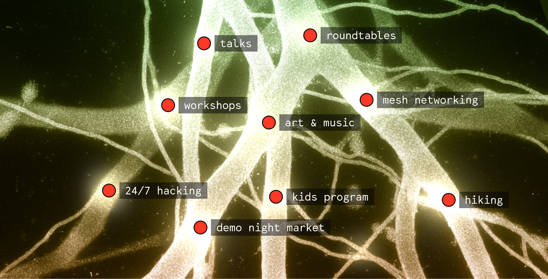 DWeb Camp 2026: Root Systems